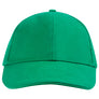 Gorras (Cod: GR04)