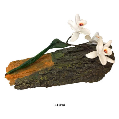 Tronco con Orquidea Blanca (LTO13)