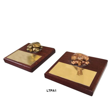 Tortugas con Placa (LTPA1)