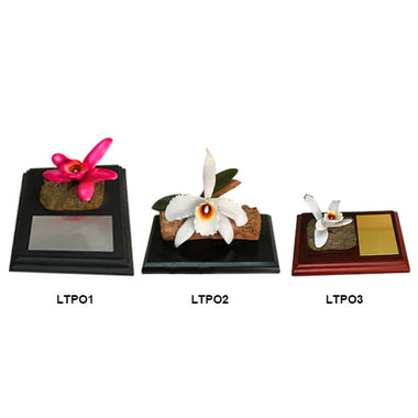 Línea típica placas con orquidea (Cod: LTPO)