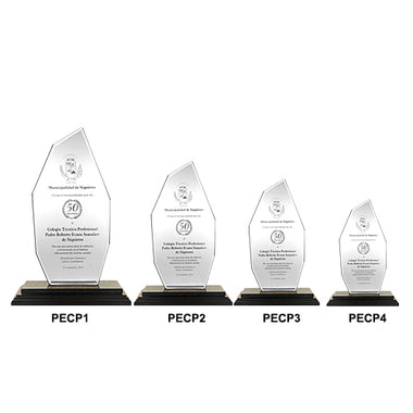 Placa Cristal Polar (Cod: PECP)