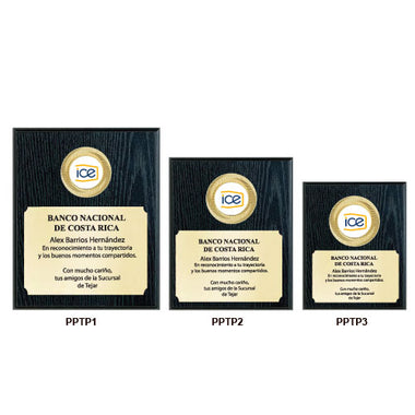 Placa de pared con troquel y placa (Cod: PPTP)